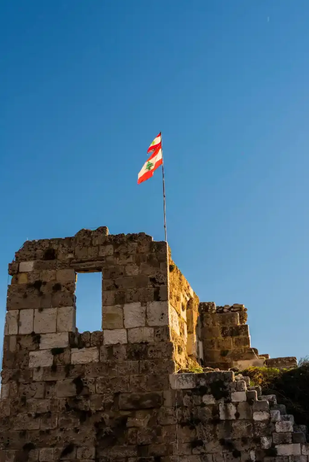 International Donors Support